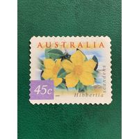 Австралия 1999. Флора. Цветы. Hibbertia scandens