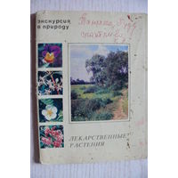 Комплект, Лекарственные растения; 1977 (17 из 25 шт., 10*15 см).