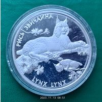 Серебро 0,925! Украина 10 гривен, 2001 Флора и фауна - Обыкновенная рысь