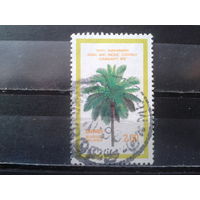 Шри-Ланка 1979 Пальма