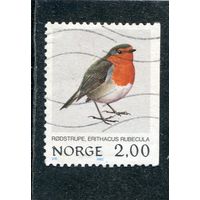 Норвегия. Птицы