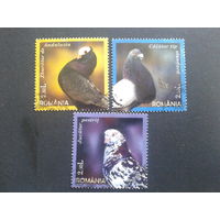 Румыния 2005 голуби, марки из блока