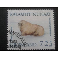 Дания Гренландия 1991 морж