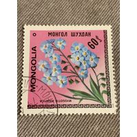 Монголия 1979. Цветы. Myosotis asiatica. Марка из серии