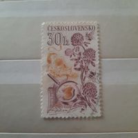 Чехословакия. Флора. Jetel lucni Trifolium pratense