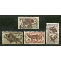 Фауна. Животные. Чехословакия. 1950-е. 4 марки