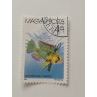 Венгрия 1987. Рыбки