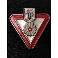 Знак-  Пионер 1 ступени. ГДР.