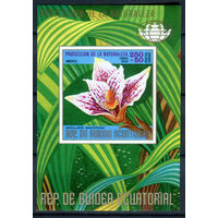 Экваториальная Гвинея - 1974г. - Североамериканские цветы и кактусы - MNH [Mi bl. 131] - 1 блок