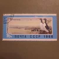 СССР 1966. Курильские острова. Птичий базар