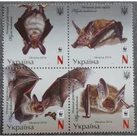 2016 WWF. Длинноухая ночница (Myotis bechsteini) - Украина