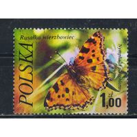 Польша ПНР 1977 Бабочка Многоцветница #2517