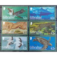 2013 исчезающие виды животных - Гибралтар