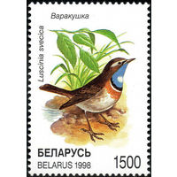 Птицы  Варакушка Беларусь 1998 год 1 марка