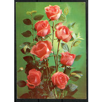Почтовая карточка" Розы"