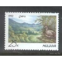 Заповедник Кодры Молдова (Молдавия) Фауна птица 1992 год чистая **