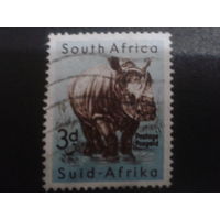 ЮАР 1954 носорог