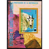 Фауна Дикие животные Экваториальная Гвинея  1977 год 1 блок (М)