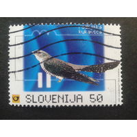 Словения 1998 радио Словении, птица