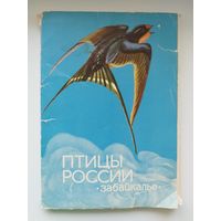 Птицы России. Забайкалье. 1983 год. 31 из 32 открыток