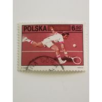 Польша 1981. 60-летие Польского общества теннисистов. Полная серия