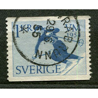 Лыжный спорт. Слалом. Швеция. 1954
