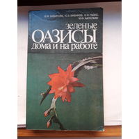 Бибикова Оазисы дома и на работе