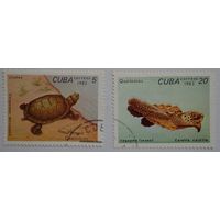 Куба.1983.черепахи