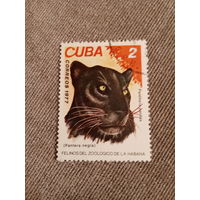 Куба 1977. Черная пантера
