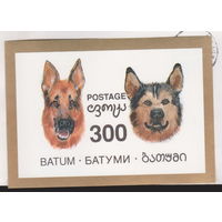 Собаки Фауна Батами Грузия  лот 2036 ЧИСТЫЙ