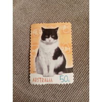 Австралия 2004. Домашние кошки
