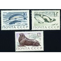 Морские млекопитающие Фауна СССР 1971 год 3 марки