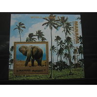 Марки - Манама фауна слон блок