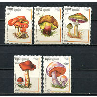 Камбоджа - 1992 - Грибы - [Mi. 1318-1322] - полная серия - 5 марок. MNH.  (Лот 100EC)-T5P7