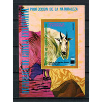 РАСПРОДАЖА С РУБЛЯ! Экваториальная Гвинея - 1977 - Животные Северной Америки - [Mi. bl. 272] - 1 блок. MNH.  (Лот 29AY)