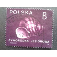 Польша 1990 стандарт ракушка