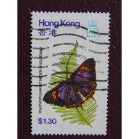 Британский Гонконг. Бабочки.