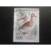 Франция 1993 утки