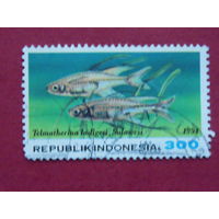 Индонезия 1994г. Морская фауна.