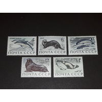 СССР 1971 Фауна. Морские млекопитающие. Полная серия 5 чистых марок