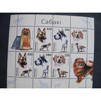 Марки Беларуси ##520-522. Малый лист Собаки