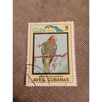 Куба 1983. Птицы. Amazona leucocephala