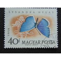 Венгрия 1959 г. Бабочки.