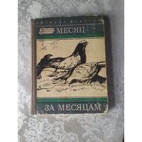 Віталі Вольскі. Месяц за месяцам\056