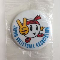 Japan Volleyball Association (Японская волейбольная ассоциация)