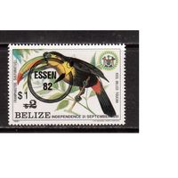 Белиз-1982,(Мих.632)  **  фауна, попугаи