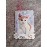 Австралия 2004. Породы домашник кошек