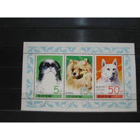 Марки - фауна собаки Корея 1977