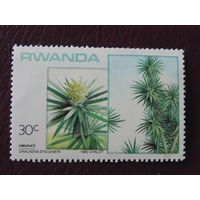 Руанда  1983 г. Флора.