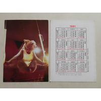 Карманный календарик. Цирк. Медведь-гимнаст. 1981 год